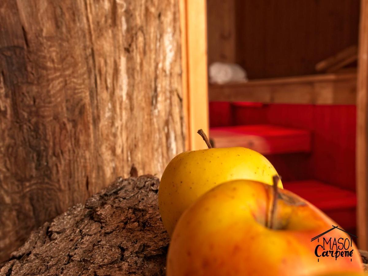 Vila Agritur Maso Carpene Rovereto  Exteriér fotografie